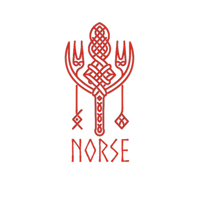 Project Norse